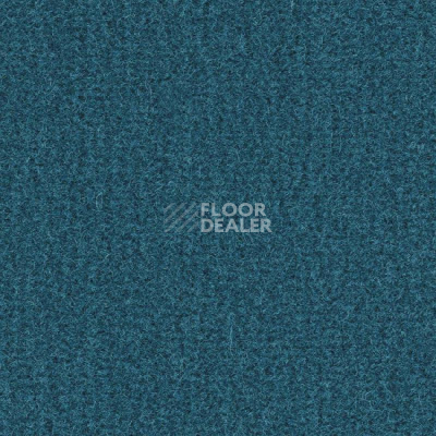 Ковролин Balsan Sydney DD 170 фото 1 | FLOORDEALER