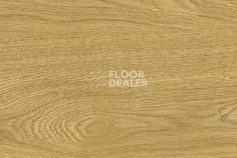 Пробковое покрытие Wood Xl Oak  Deluxe фото 1 | FLOORDEALER
