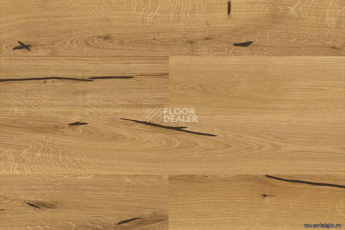 Wood Xl замковое Oak Accent фото 4 | FLOORDEALER