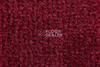 Balsan Les Best S 585 фото 2 | FLOORDEALER