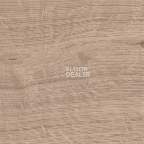 Terhurne Classic Line 192мм 1859  Дуб Светло - Бежевый  1101020825 фото 2 | FLOORDEALER