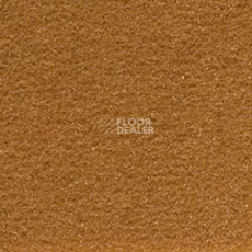 Ковролин Infloor Cosmos 250 фото 1 | FLOORDEALER