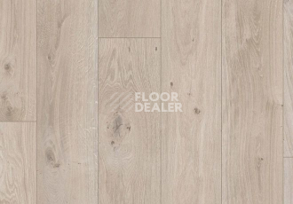 Parador Basic Plus 400 V 1593798 Дуб Натурально-серый фото 2 | FLOORDEALER