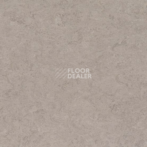 Gerflor Marmorette DLW 2.5mm 0091 Shiitake Mushroom фото 1 | FLOORDEALER