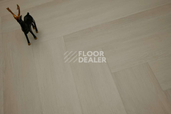 Evofloor Parquet Glue 2.5мм Whiteford (Уайтфорд) фото 2 | FLOORDEALER