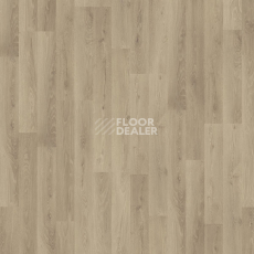 Kronotex Dynamic Plus d4155 Дуб Роскошный Серебряный фото 5 | FLOORDEALER