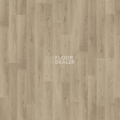 Ламинат Kronotex Dynamic Plus d4155 Дуб Роскошный Серебряный фото 5 | FLOORDEALER