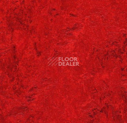 Линолеум Forbo Marmoleum Decibel 312735 фото 1 | FLOORDEALER