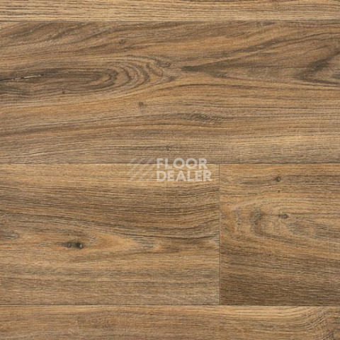 Линолеум Forbo Emerald Wood Fr 5904 фото 1 | FLOORDEALER