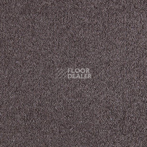 Ковролин Lano Patina 080 Purple фото 1 | FLOORDEALER