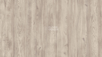 Линолеум Tarkett Philosophy COEN 1 фото 1 | FLOORDEALER