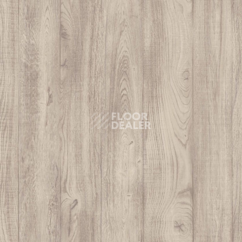 Линолеум Tarkett Philosophy COEN 1 фото 1 | FLOORDEALER