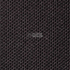 Ковролин Carpet Concept Eco Tec 280008 - 6760 фото 1 | FLOORDEALER