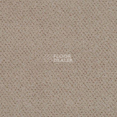 Ковролин Lano Square 462 фото 1 | FLOORDEALER