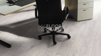 Kronotex Exquisit 8мм d3223 Дуб Атлас Белый фото 4 | FLOORDEALER