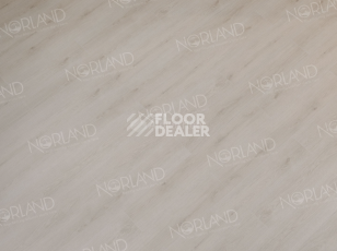 Norland Sigrid  LVT 2мм Baldr 1003-4 фото 3 | FLOORDEALER