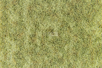 Forbo Flotex Colour Canyon 50*50 t 545027 Canyon Kelp фото 3 | FLOORDEALER