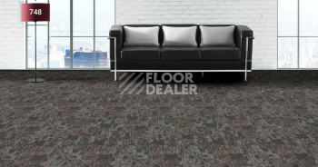 Standard Carpets On the Rocks 748 фото 2 | FLOORDEALER