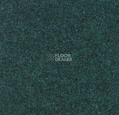 Ковролин Forbo Forte 96028 Glade фото 1 | FLOORDEALER