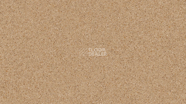 Линолеум Tarkett Craft Gelios 1 фото 1 | FLOORDEALER