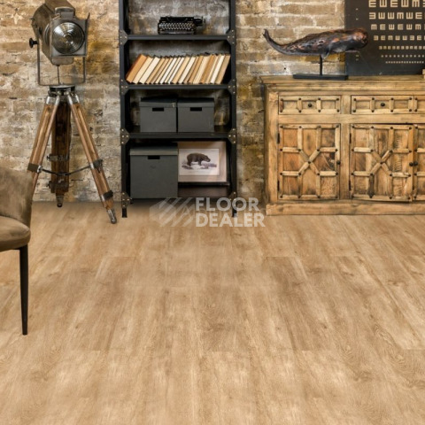 Alpine Floor Grand Sequoia (1220x183) ГРАНД СЕКВОЙЯ КАМФОРА ECO 11-5 фото 2 | FLOORDEALER