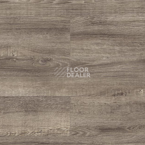Ламинат Kronopol Platinium Akaba AQUA BLOCK 8mm Kronopol Platinium Akaba Aqua Block 24h Дуб Наоми D3749 фото 1 | FLOORDEALER