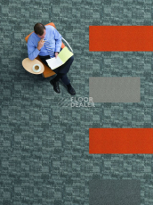 Tarkett Domino 34693 Domino фото 2 | FLOORDEALER