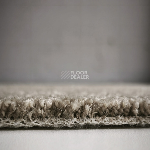 AW Westminster / Вестминстер 39 фото 8 | FLOORDEALER