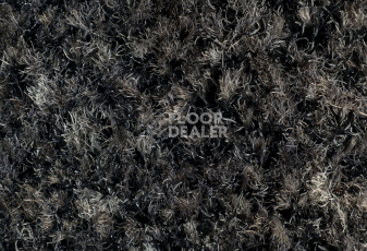 Forbo Coral Brush 5721 Hurricane Grey фото 2 | FLOORDEALER