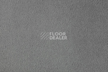 Ковролин Vorwerk Passion 1000/Modena Vorwerk 5t11 фото 1 | FLOORDEALER