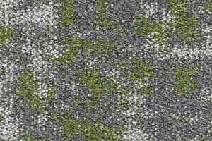Ковровая плитка Bloq Small 622 Fern a фото  | FLOORDEALER