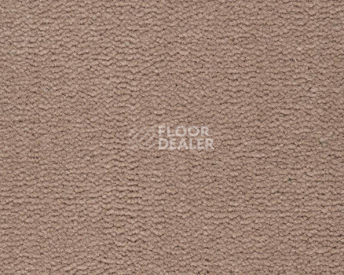 Ковролин Best Wool Pure Tasman 124 фото 1 | FLOORDEALER