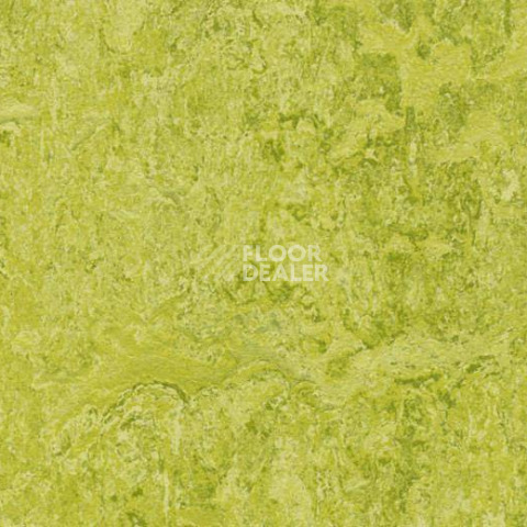 Линолеум Forbo Marmoleum Decibel 322435 chartreuse фото 1 | FLOORDEALER