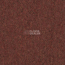 Ковровая плитка Shaw Momentum 02705 фото 1 | FLOORDEALER