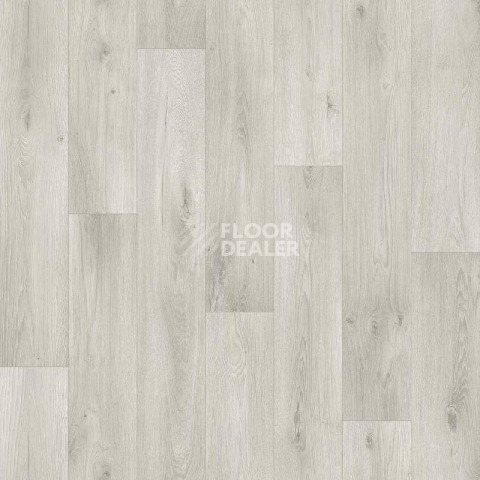 Линолеум Tarkett Galaxy Dallas 7 фото 1 | FLOORDEALER