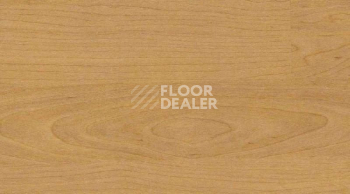 Линолеум Gerflor Taraflex Multi-Use 6.2 Wood 4331_Wood_Natural фото 1 | FLOORDEALER