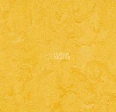 Кварцвиниловые полы Forbo Marmoleum Modular Colour 3251 фото 1 | FLOORDEALER