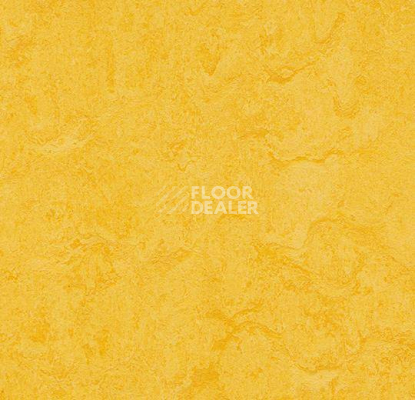 Кварцвиниловые полы Forbo Marmoleum Modular Colour 3251 фото 1 | FLOORDEALER