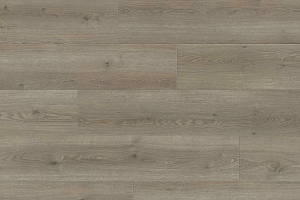 Ламинат Haro Tritty 100 Campus 4V Дуб Флавия Серый 544754 фото  | FLOORDEALER
