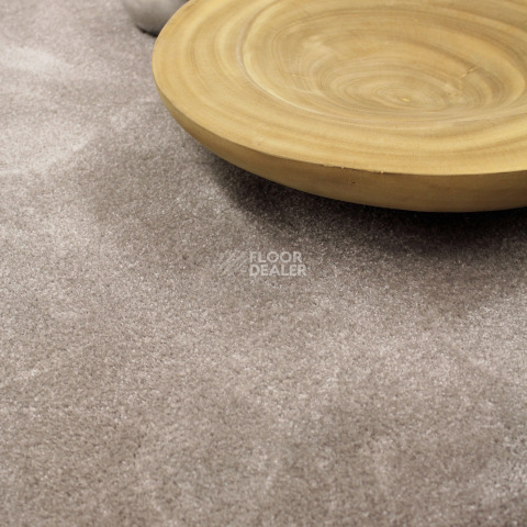 AW Masquerade Costanza 39 фото 2 | FLOORDEALER