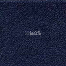 Ковролин Besmer Maritim 569 фото 1 | FLOORDEALER