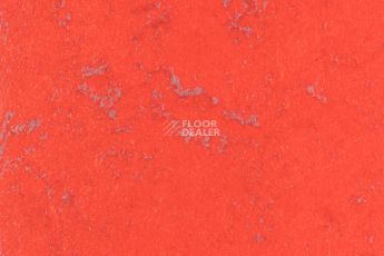 Линолеум Forbo Marmoleum Solid Concrete 3743-374335 red glow фото 1 | FLOORDEALER