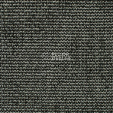 Ковролин Carpet Concept Eco Iqu 54356 фото 1 | FLOORDEALER
