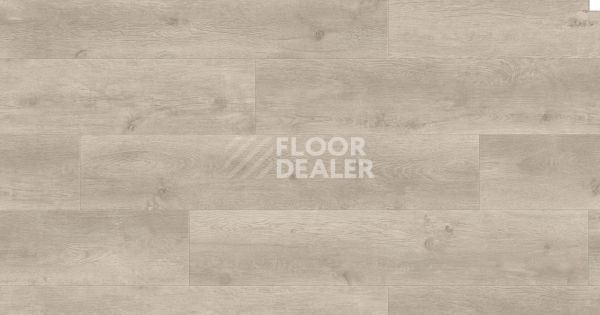 Ламинат Haro Tritty 200 Aqua 4V ДУБ БЕРГАМО СЕРЕБРЯНО-СЕРЫЙ 541553 фото 1 | FLOORDEALER