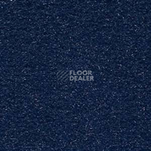 Ковролин Infloor Cosmos 351 фото 1 | FLOORDEALER