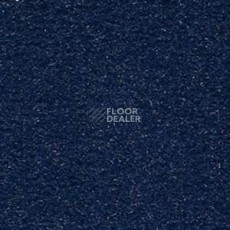 Ковролин Infloor Cosmos 351 фото 1 | FLOORDEALER