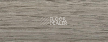 Плинтус Dollken EP 60/13 2976 фото 2 | FLOORDEALER