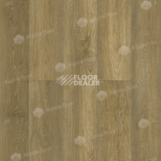 Кварцвиниловые полы Alpine Floor Classic Бук ECO 141-8 MC фото 1 | FLOORDEALER