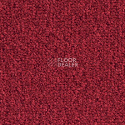 Ковровая плитка Balsan Bolero 560 фото 1 | FLOORDEALER