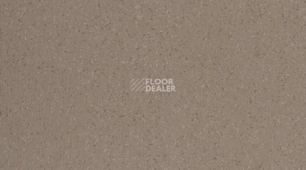 Кварцвиниловые полы Gerflor GTI Max Cleantech 600 x 600 0261_Scirocco фото 1 | FLOORDEALER